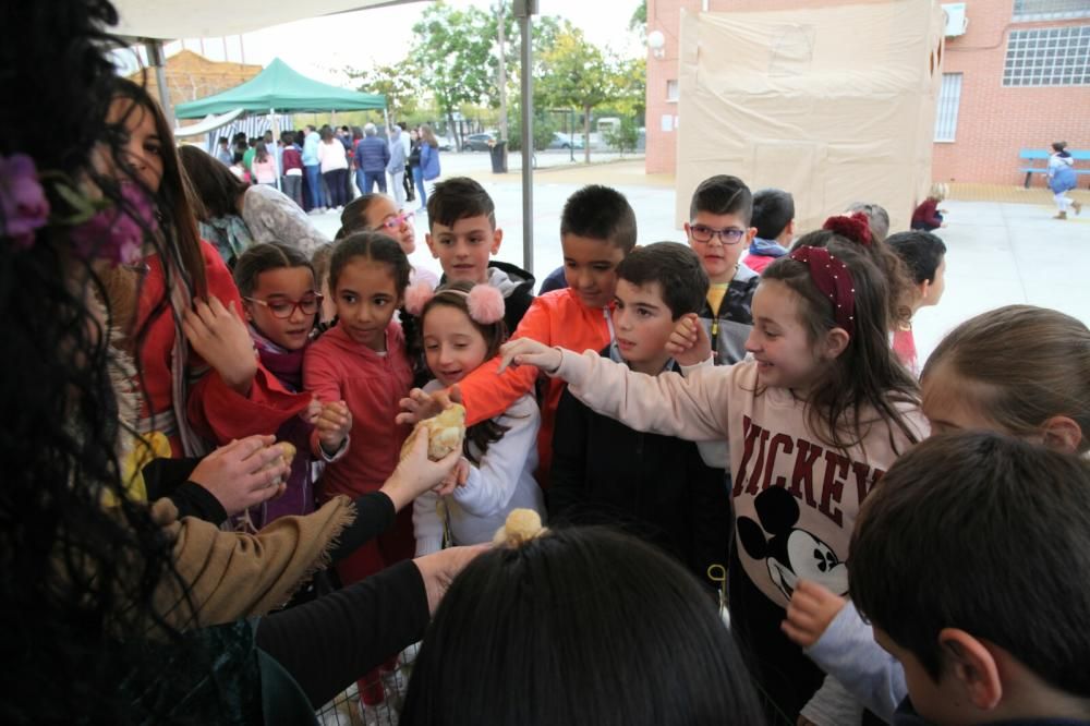 Celebración de San Clemente en el colegio Sagrado Corazón de Jesús de Lorca