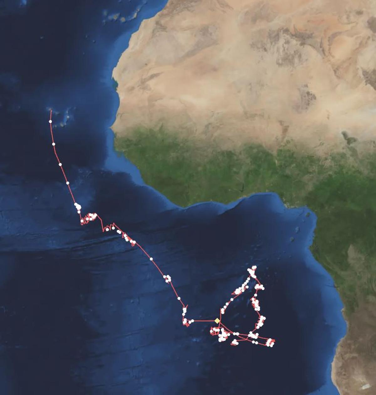 Derrota del «Novo Ruivo» desde el 1 de mayo