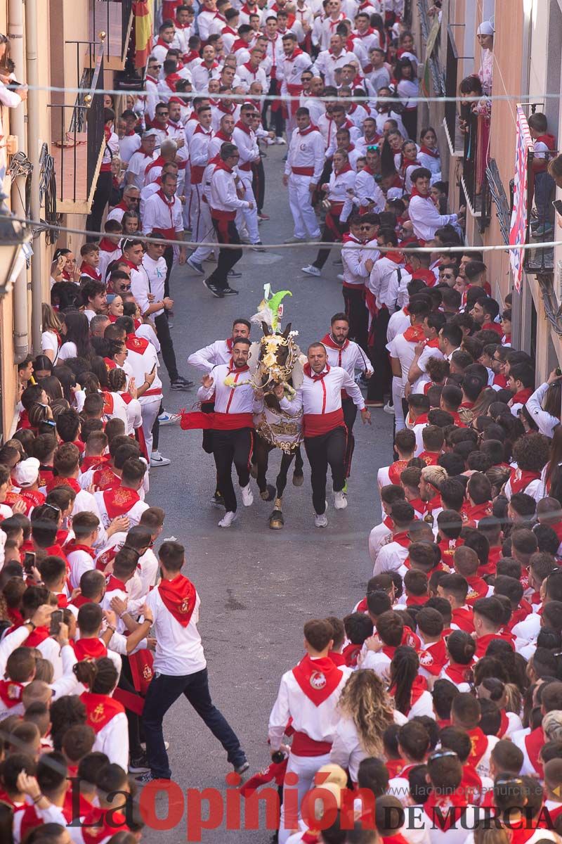 Caballos del Vino en la cuesta de la Simona