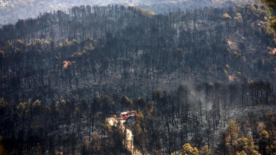 Un camión de bomberos circula por la zona afectada por el incendio declarado ayer en el parque natural de Els Ports, en el término municipal de Horta de Sant Joan (Tarragona), en el que resultaron muertos cuatro bomberos y dos heridos de gravedad.