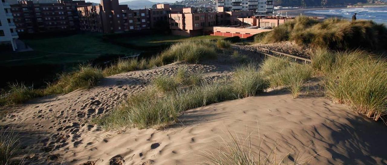 Las dunas del Espartal, en Salinas, ayer.