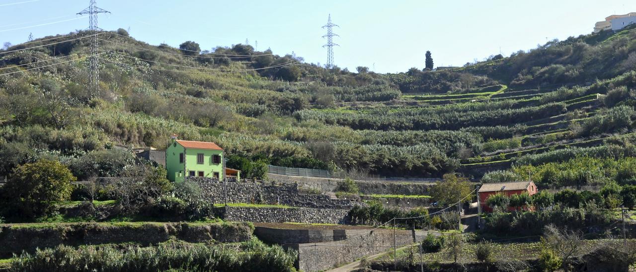 Vivienda denunciada del hijo del exalcalde de Teror en la localidad de Los Arbejales