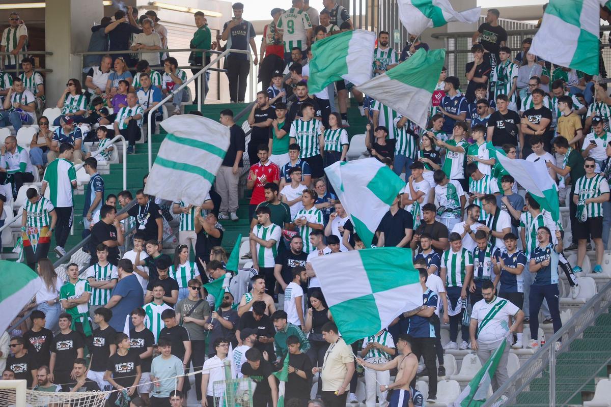 Córdoba CF-Sporting de Gijón | Las imágenes de la afición en El Arcángel