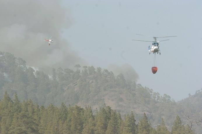 .INCENDIO. ZONA DE PAJONALES TEJEDA