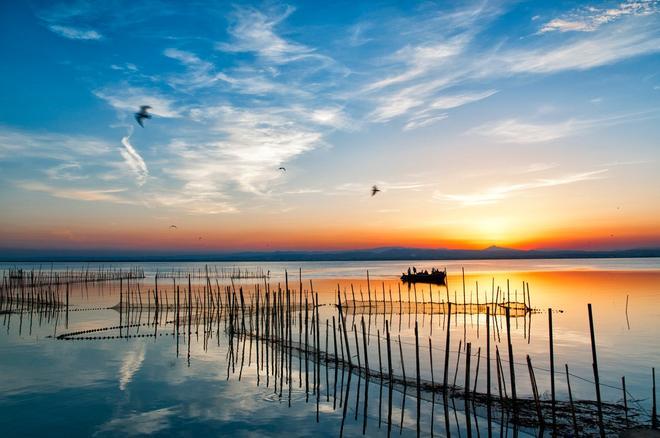 Parque Natural de la Albufera, Los 5 mejores parques naturales de España para el avistamiento de aves migratorias