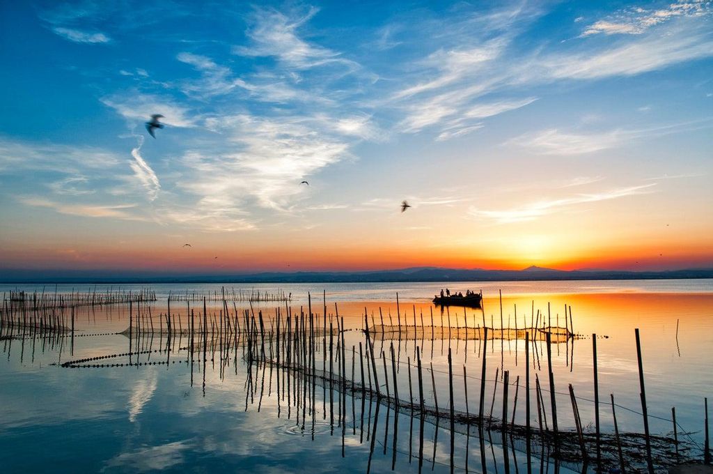La Albufera es uno de los rincones de agua más bonitos de Valencia, un lugar donde pasear entre la fauna y la flora local con las barcas que salen desde los embarcaderos a lo largo del Parque Natural