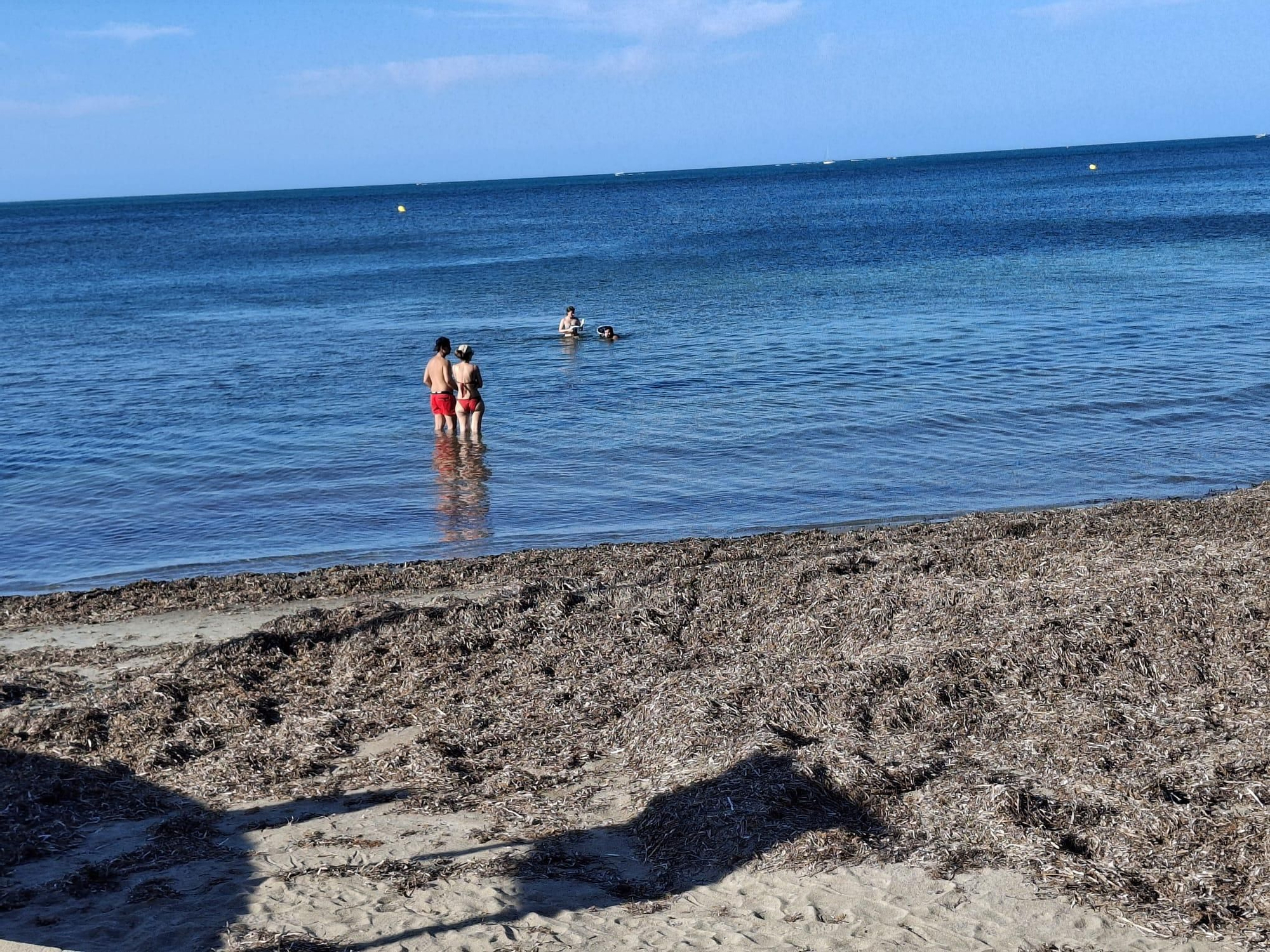 ¡Esto es vida!: manto de posidonia, aguas cristalinas y paz absoluta en la Marineta Cassiana de Dénia
