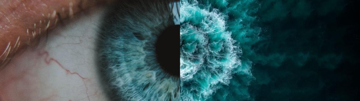 Palladium cares: Un gigante hotelero con corazón: Descubre el compromiso social de Palladium Hotel Group