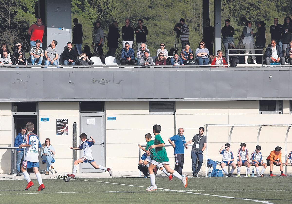 Uno de los campos del complejo Tensi.