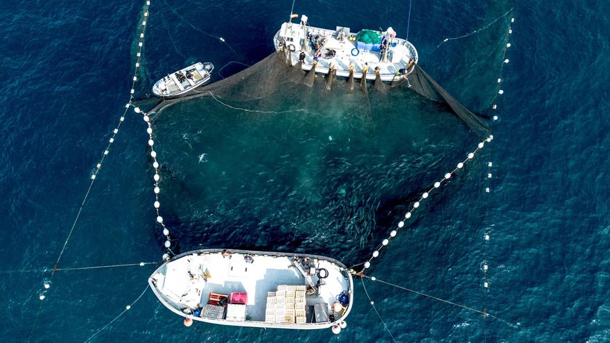 Así es la última almadraba activa del Mediterráneo