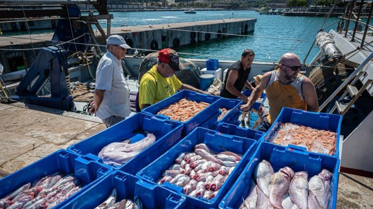 La pesca es uno de los sectores que integran la economía azul.