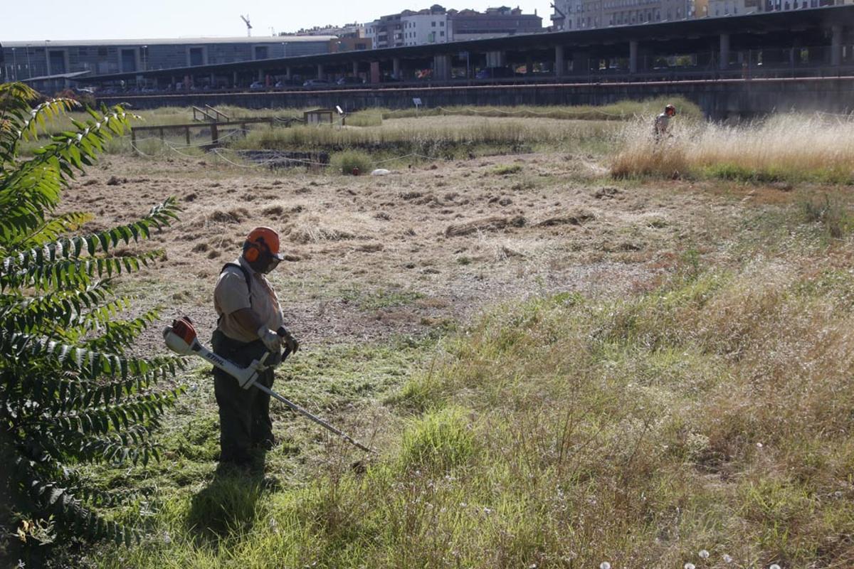 Urbanismo y Sadeco inician la limpieza del yacimiento de Cercadilla Urbanismo y Sadeco inician la limpieza del yacimiento de Cercadilla