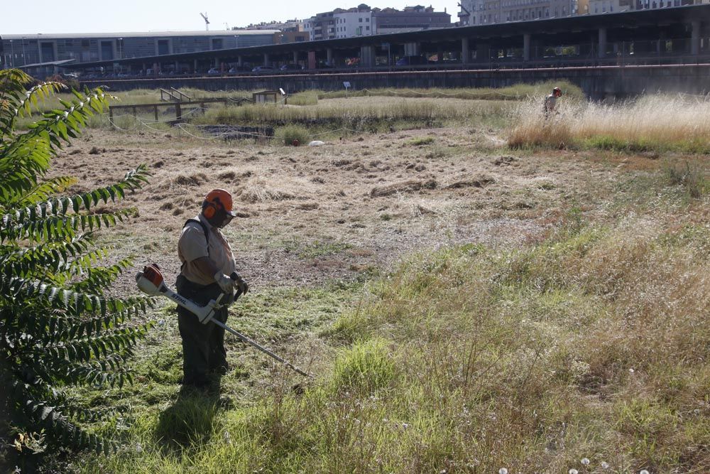 Urbanismo y Sadeco inician la limpieza del yacimiento de Cercadilla