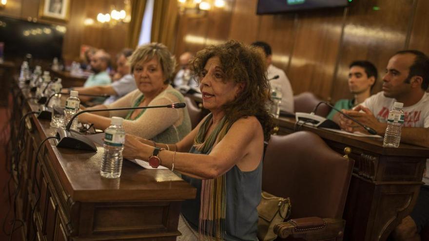 IU denuncia &quot;una parálisis democrática&quot; en la Diputación de Zamora