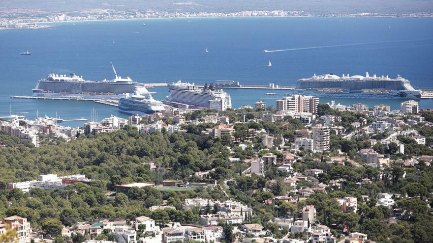 Cruceros en el puerto de Palma.  | MANU MIELNIEZUK