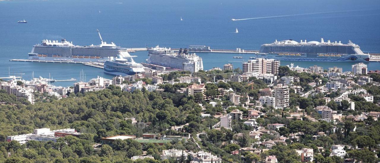 Cruceros en el puerto de Palma.  | MANU MIELNIEZUK