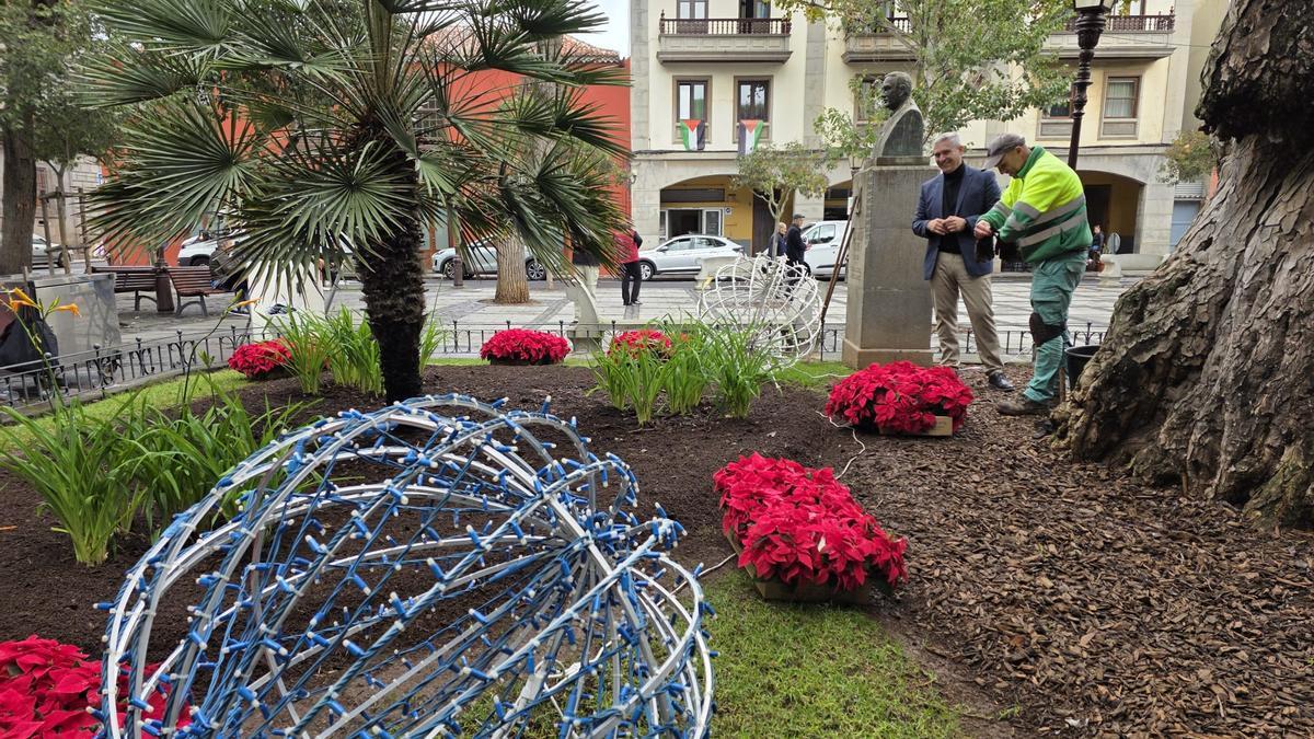 Hasta 10.000 ejemplares vestirán las calles, plazas y jardines del municipio.