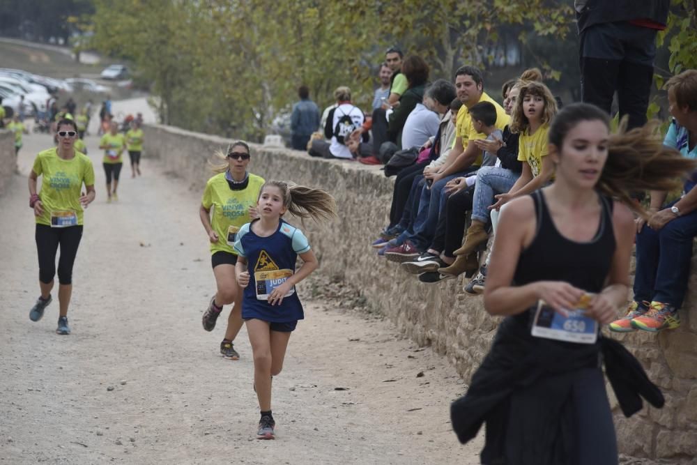 Vinya Trail a l'Oller del Mas.