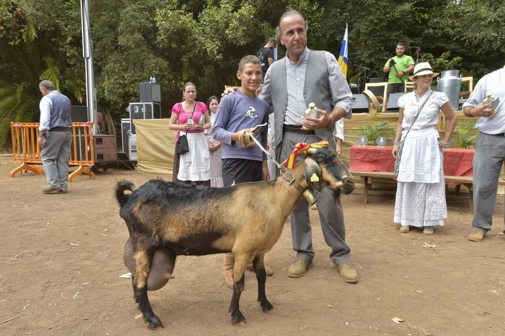 Feria de ganado