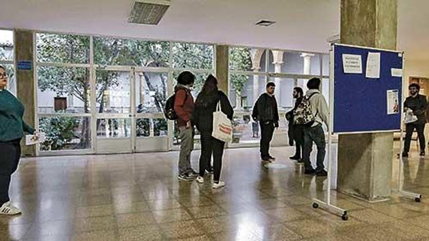 Alumnos de la Universitat de les Illes Balears.