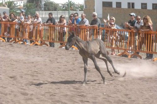 FERIA ROCIERA DE OCTUBRE EN TEROR