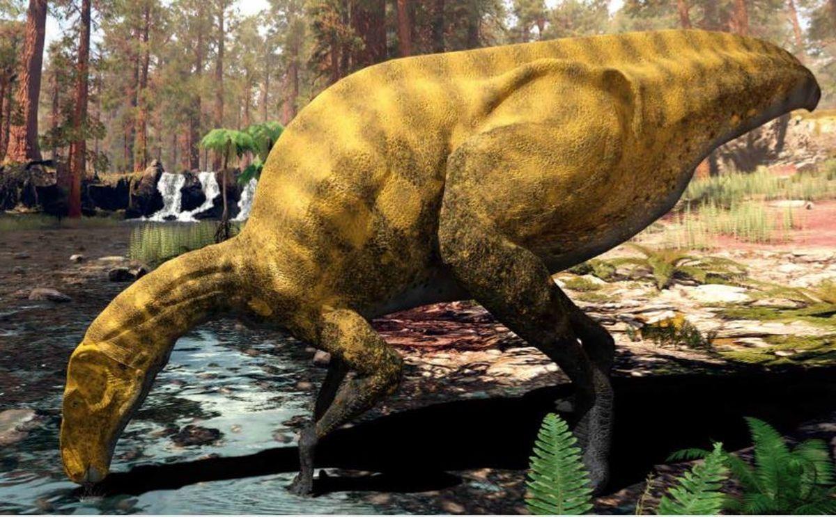 'Portellsaurus sosbaynati' és una espècie de dinosaure descrit l'any 2021 per Santos-Cubedo, de Santisteban, Poza i Meseguer. Va estar trobada en la Formació Margues de Mirambell, en Portell de Morella.