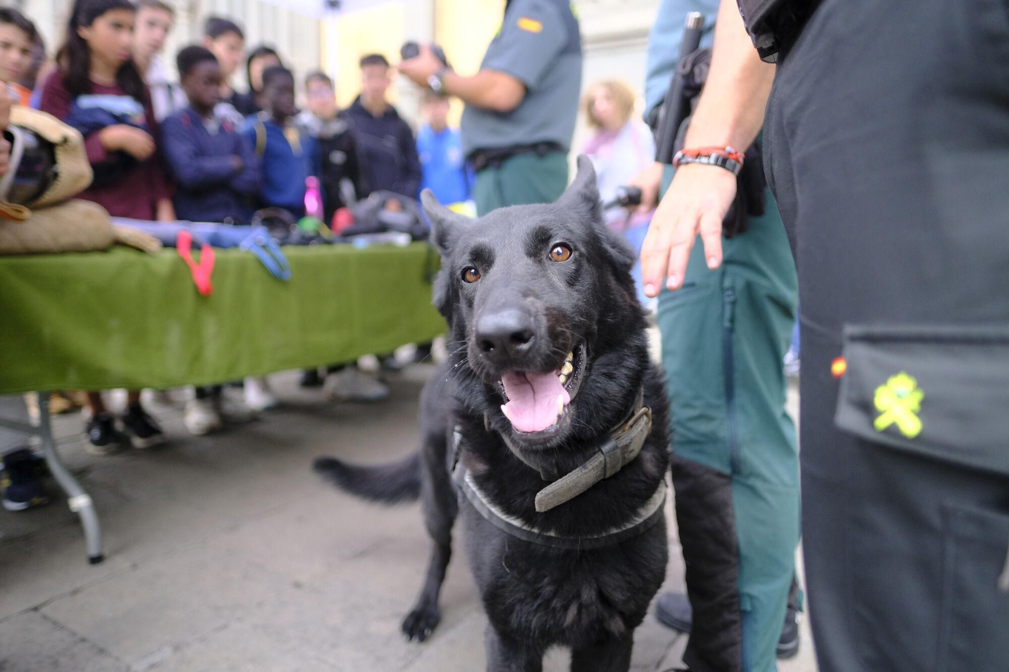 La Guardia Civil celebra el 181 aniversario de su fundación con un acto en Arucas