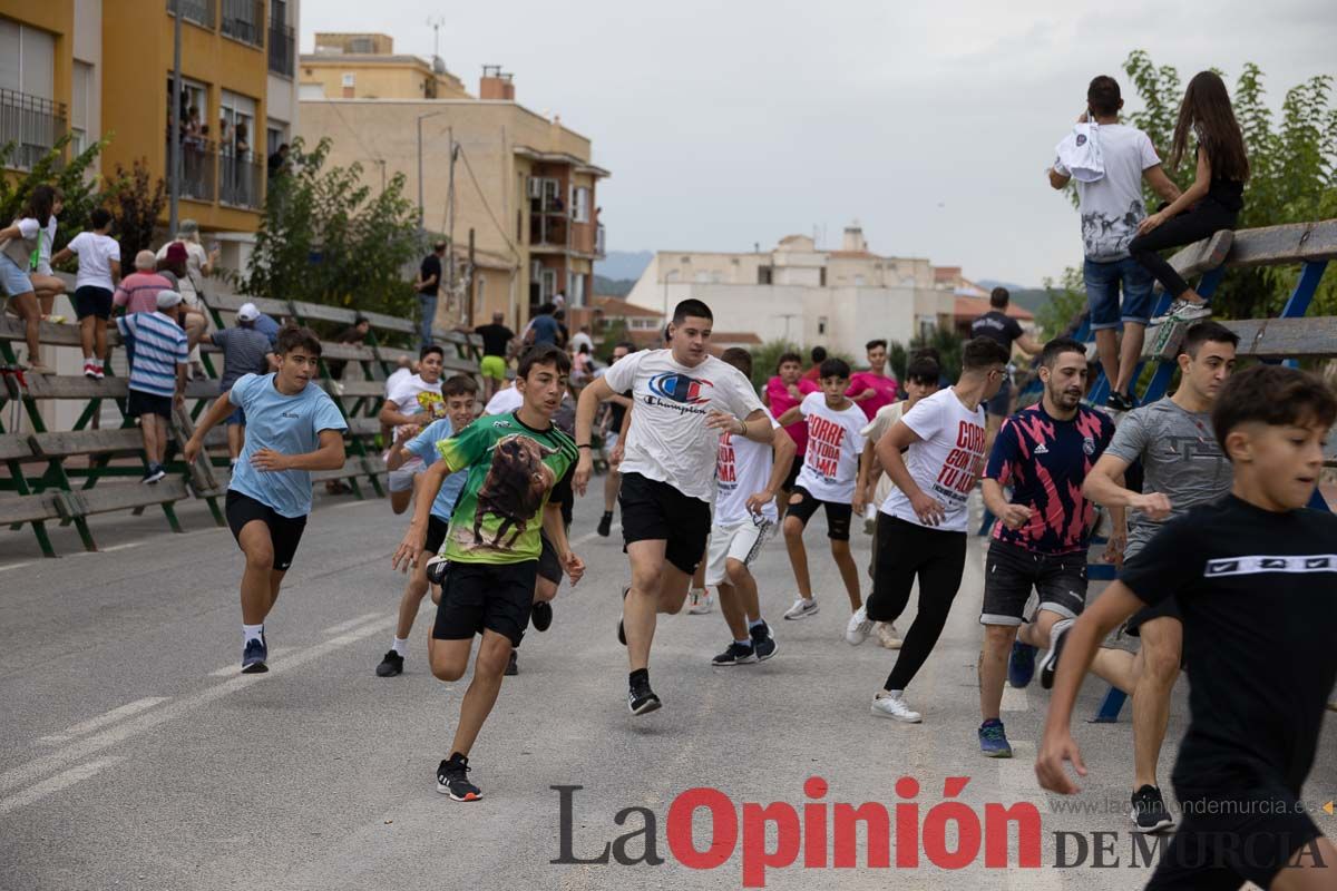 Chupinazo y encierro chico en Calasparra