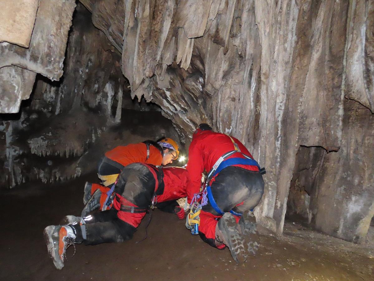 En el hallazgo han participado investigadores de Almería, Córdoba y Granada.