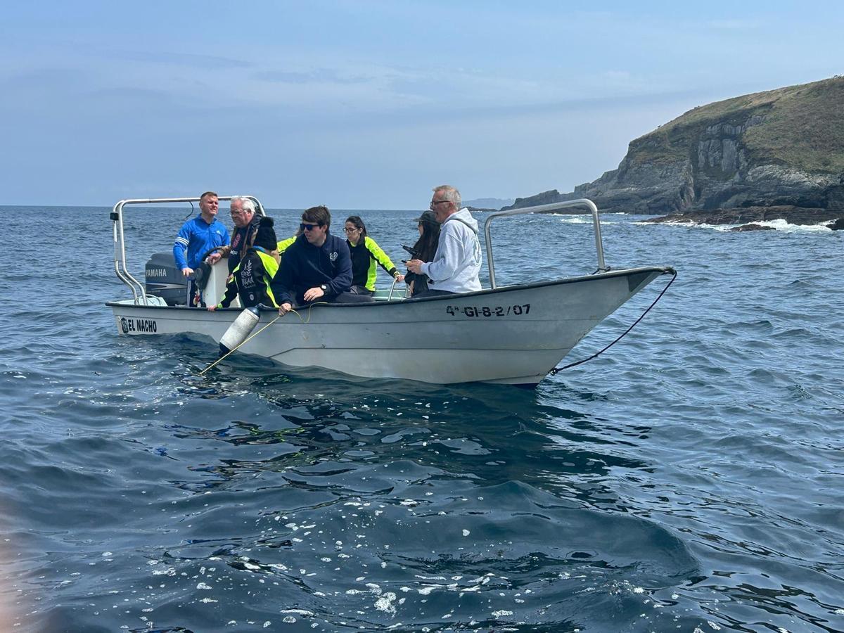 En imágenes: así fue la suelta de 500 laminarias en la costa de Luarca En imágenes: así fue la suelta de 500 laminarias en la costa de Luarca