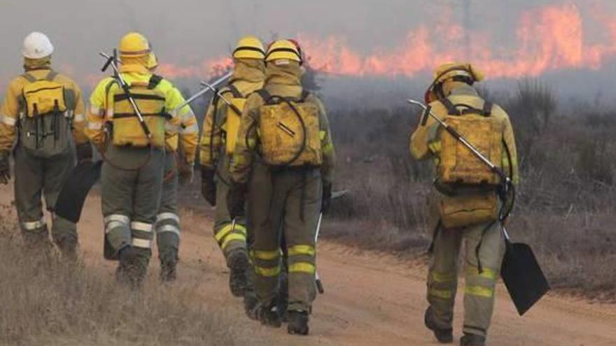 Segorbe tendrá una brigada forestal permanente.