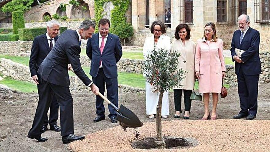 El Rey Felipe VI, ayer en Cáceres.