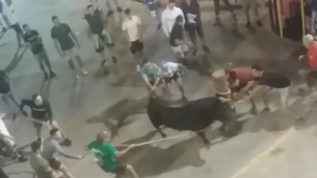 Un "bou embolat" se lesiona en Algar de Palància