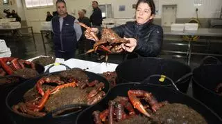 La flota del centollo desafía al temporal y sale a trabajar