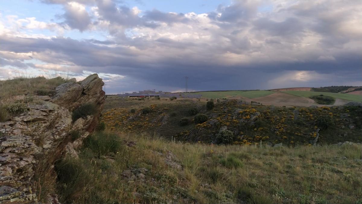 Los días de viento o momentos antes de las tormentas aumentan el riesgo de alergias al polen.