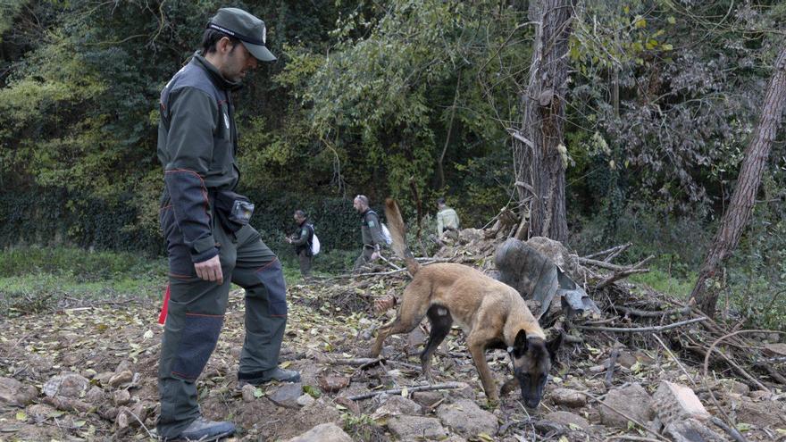 Vigilancia ambiental el pasado domingo en la zona del foco de peste porcina detectado en Barcelona.