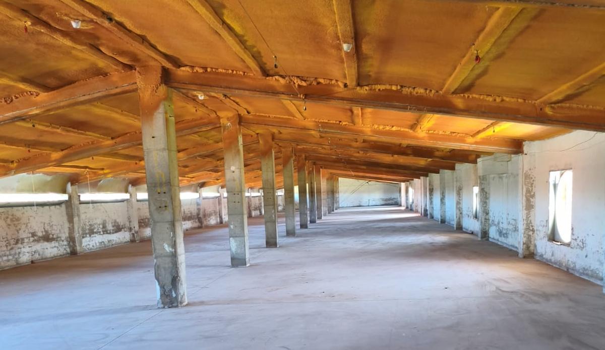 La lluita de dos nens d’Almassora per tenir un lloc on jugar: transformen una nau abandonada en un pavelló