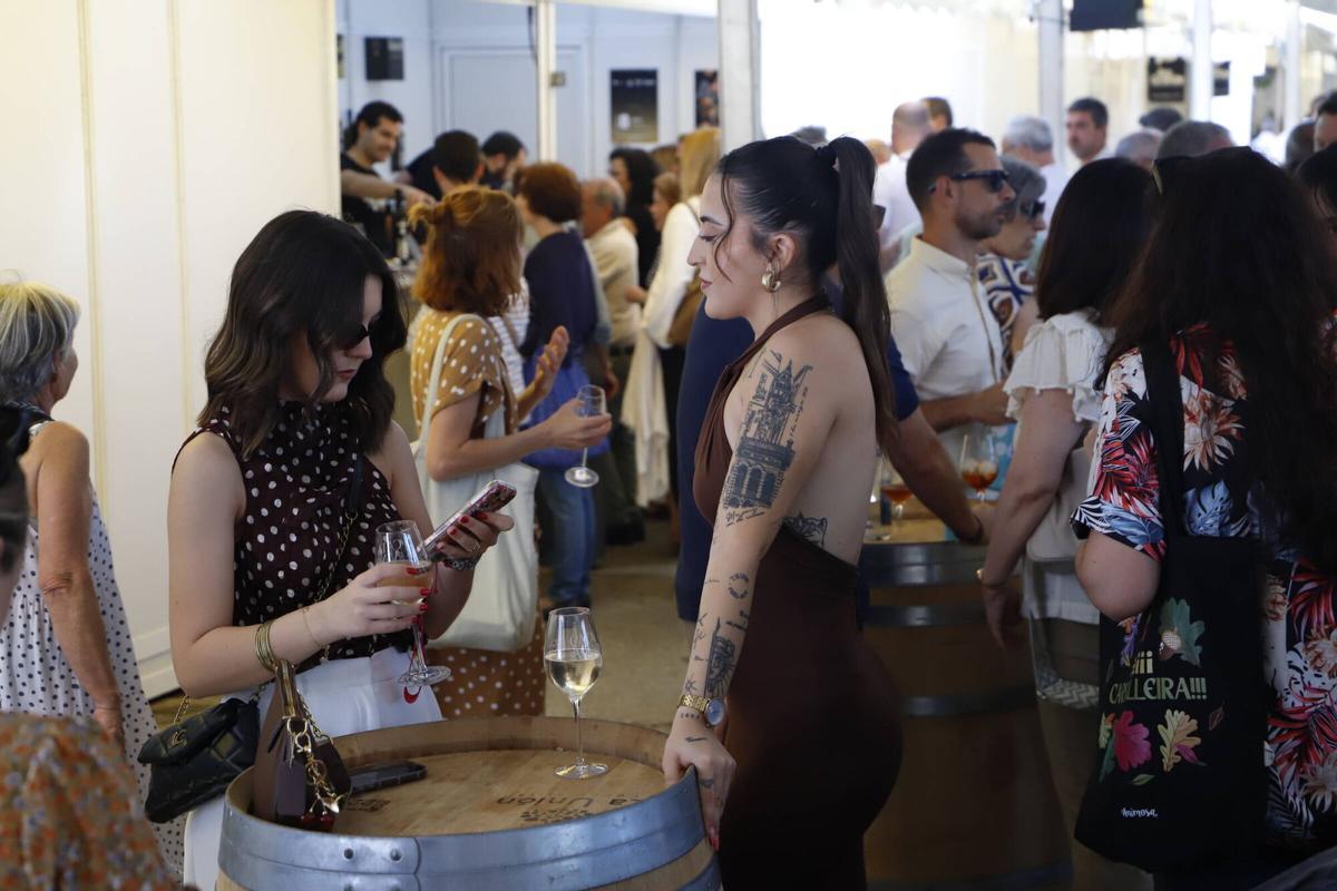 Catas de vino domingo