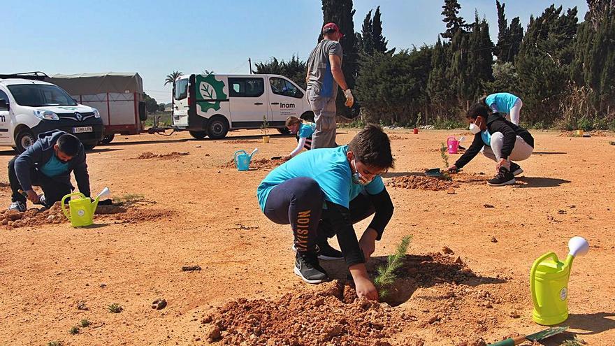 Escolares de San Pedro del Pinatar han comenzado la plantación de una pinada llamada ‘El Mar Menor de los niños’.