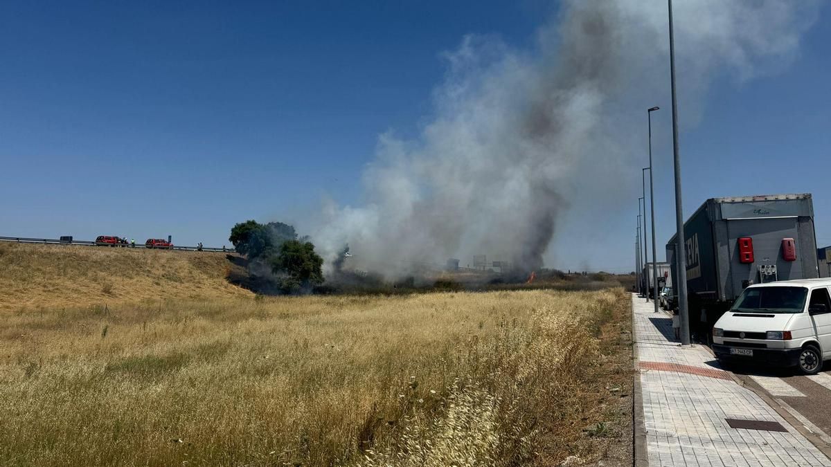 Pastos ardiendo como consecuencia del fuego de un coche en Badajoz.