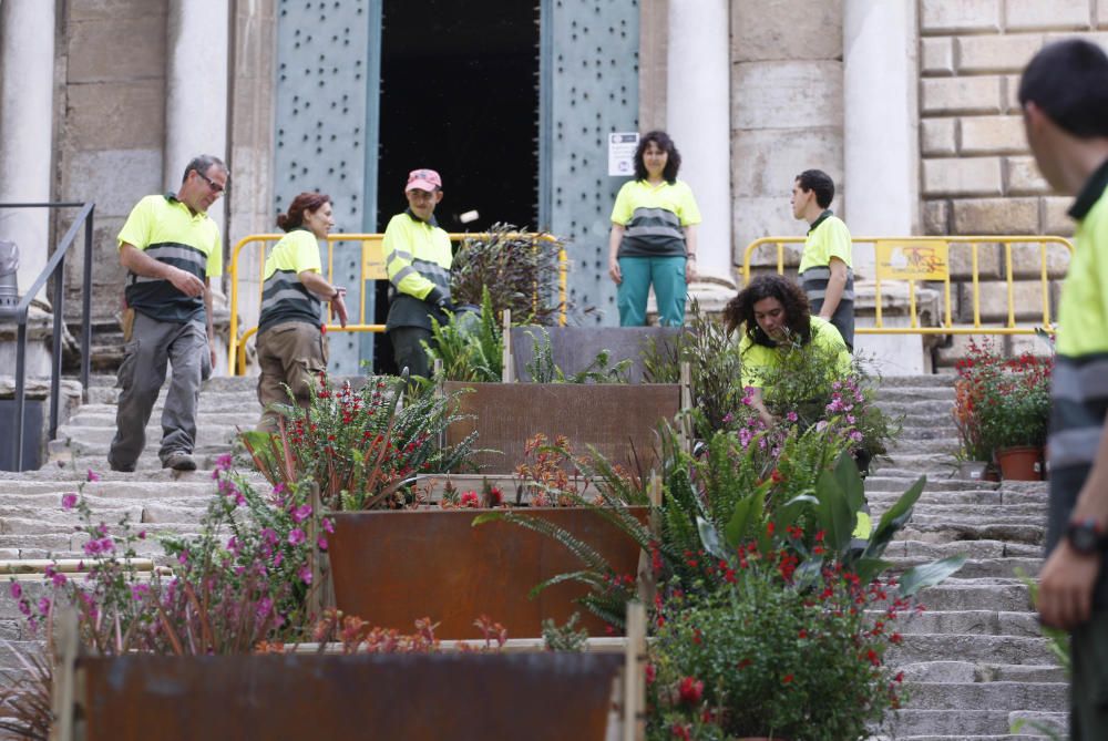 Preparatius de Temps de Flors