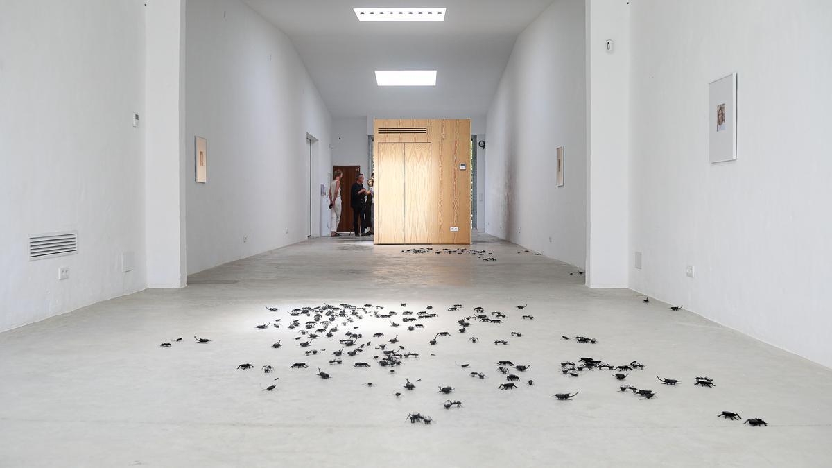 La exposición 'Protein', de Nina Beier y Simon Dybbroe Møller, en La Carpintería.