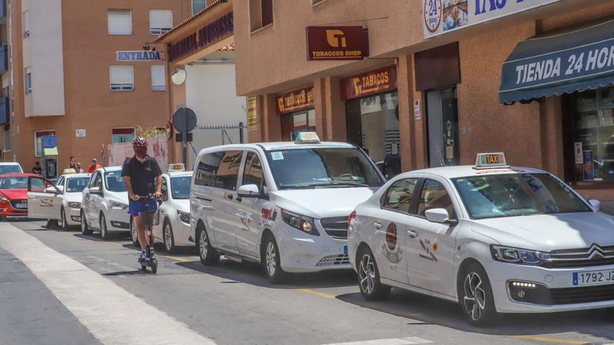 Vehículos del sector del taxi en Torrevieja.  | TONY SEVILLA