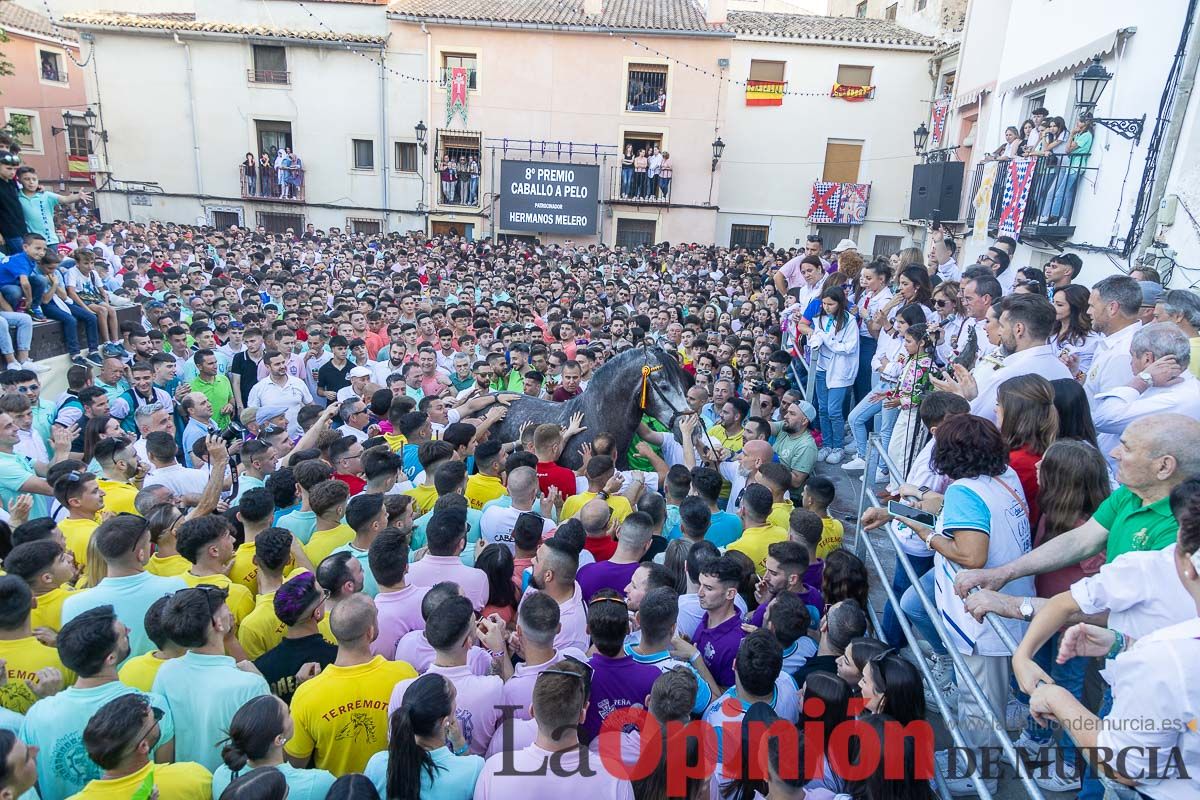 Entrega de premios del concurso morfológico de los Caballos del Vino de Caravaca