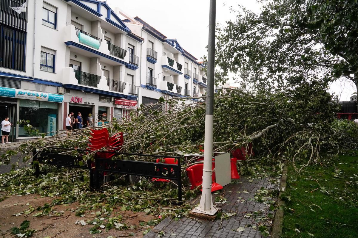 Un vendaval sacude Pozoblanco