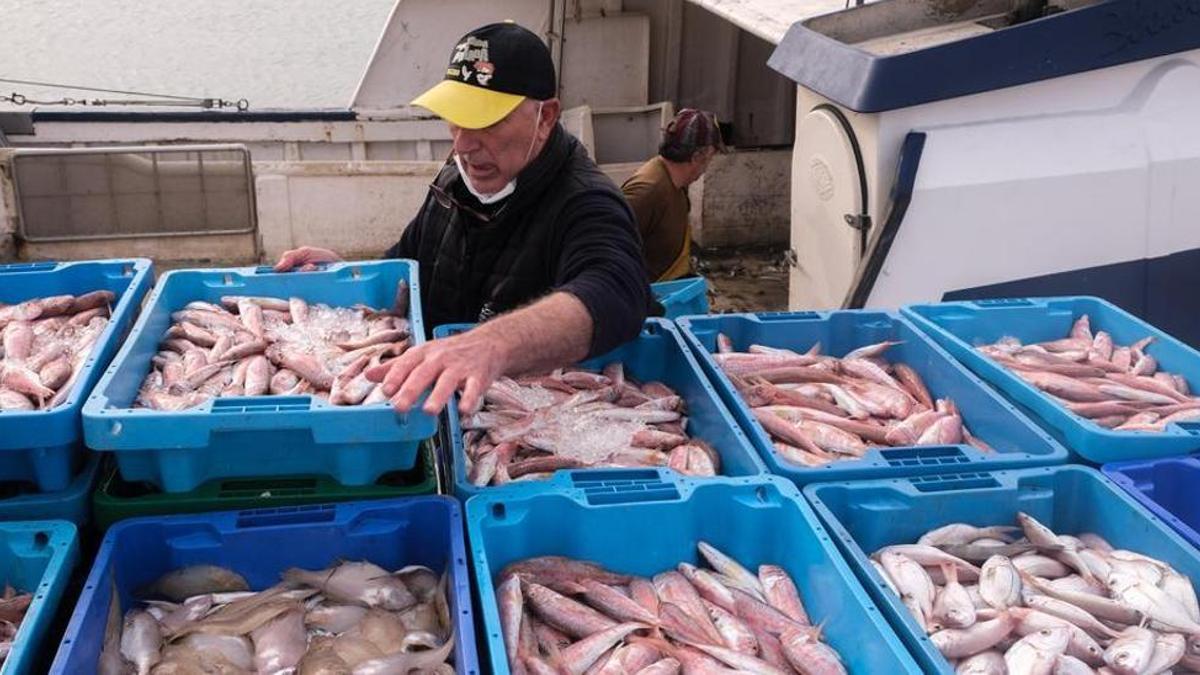 Un pescador desembarcando las capturas de una embarcación en un puerto de Galicia.