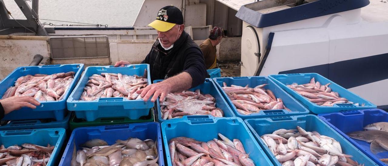 Un pescador desembarcando las capturas de una embarcación en un puerto de Galicia.