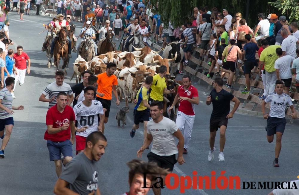 Séptimo encierro en Moratalla