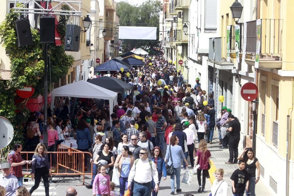 Trobada d'Escoles a l'Horta Nord