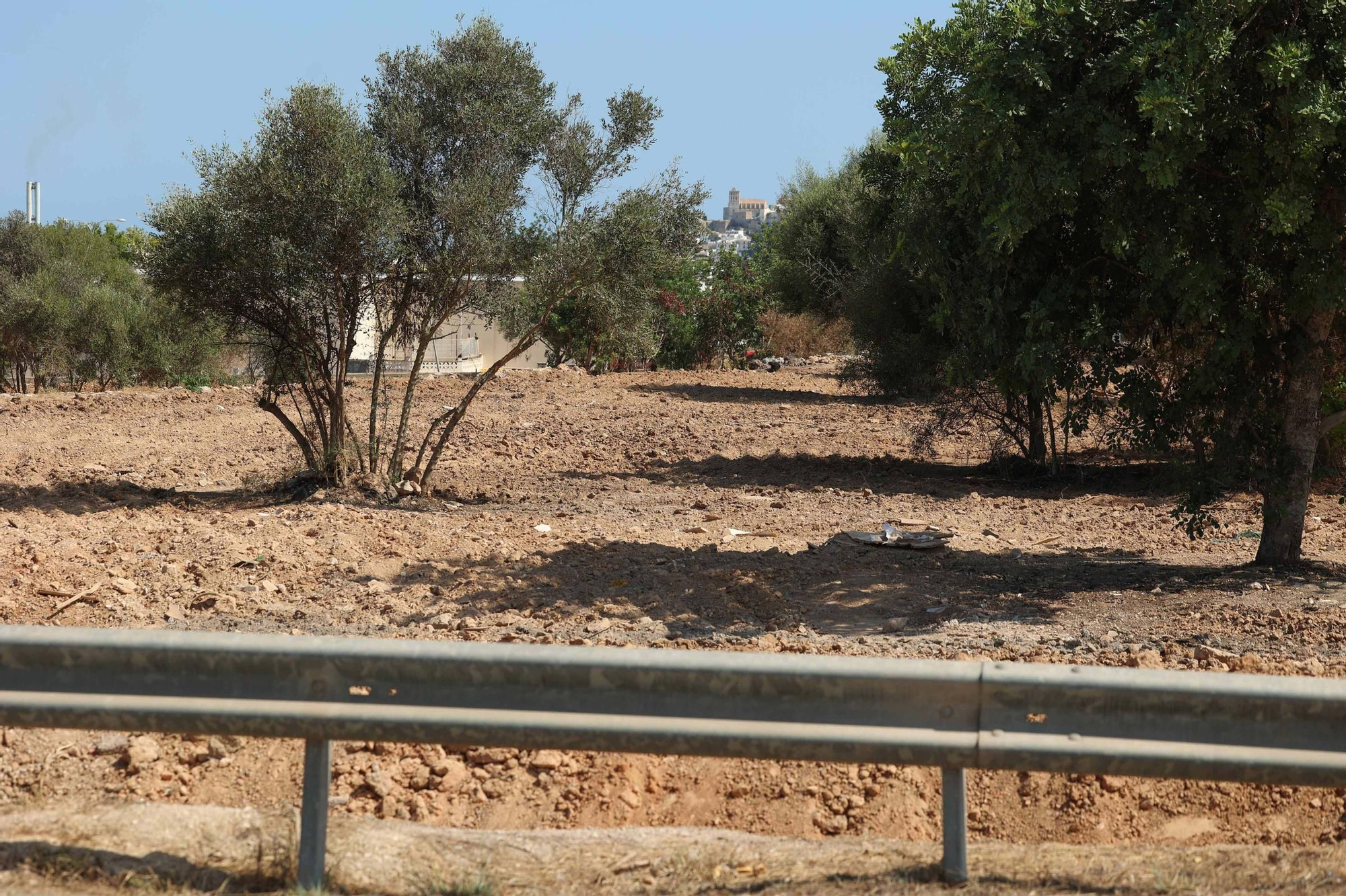 Galería: terreno de Can Rova II completamente despejado por el Ayuntamiento